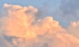 晴天视频,捕捉美好时光的瞬间